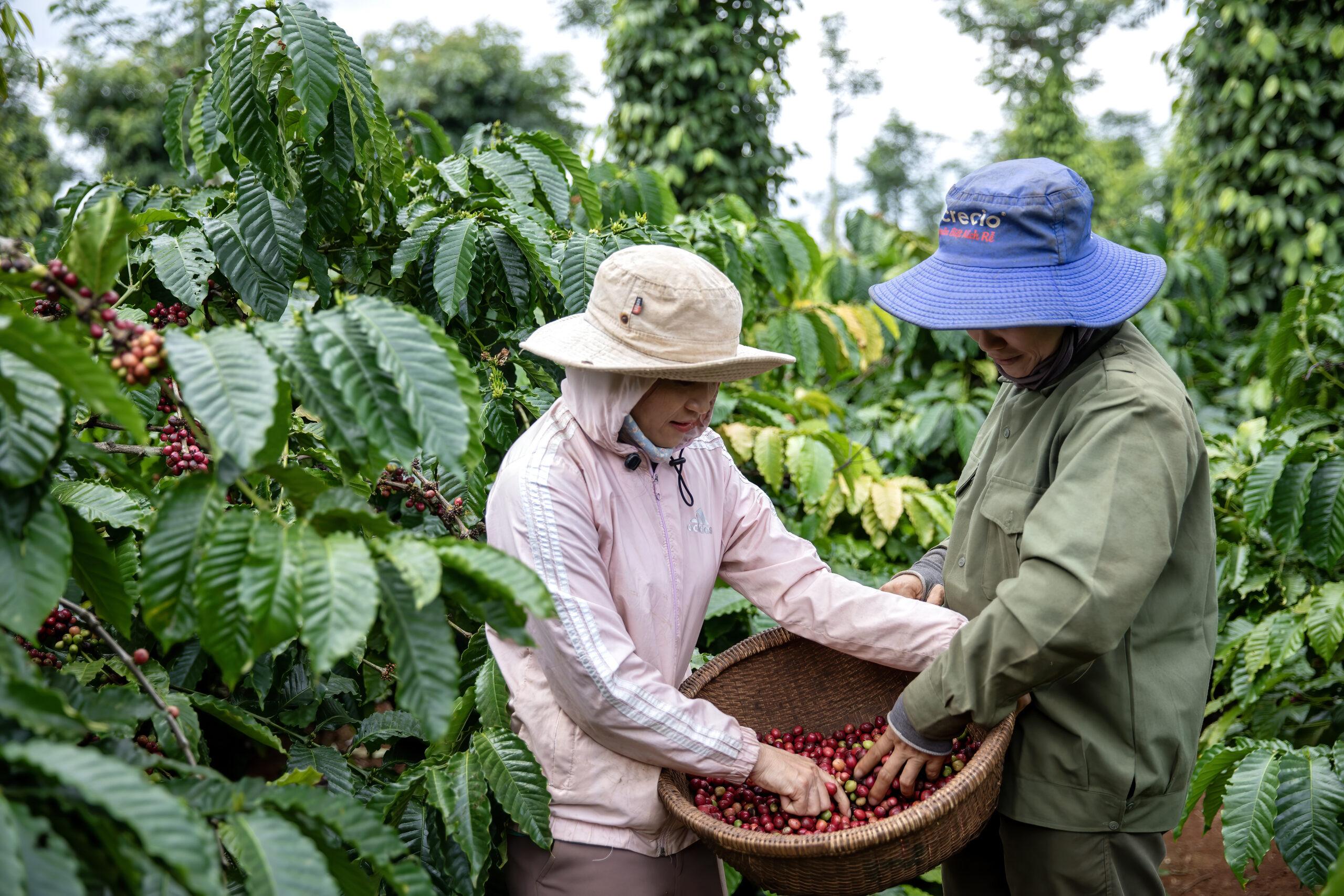 Con người và nông nghiệp